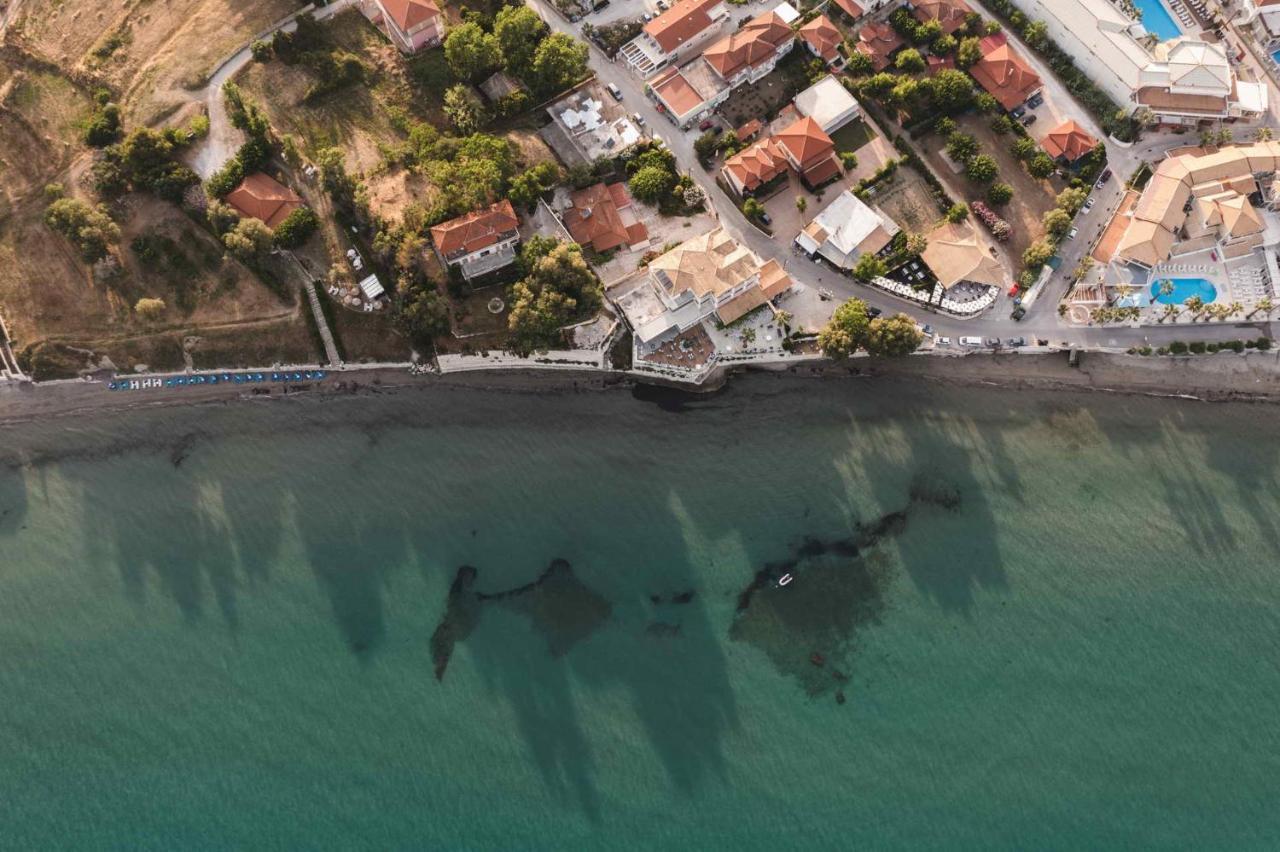 Panorama Daire